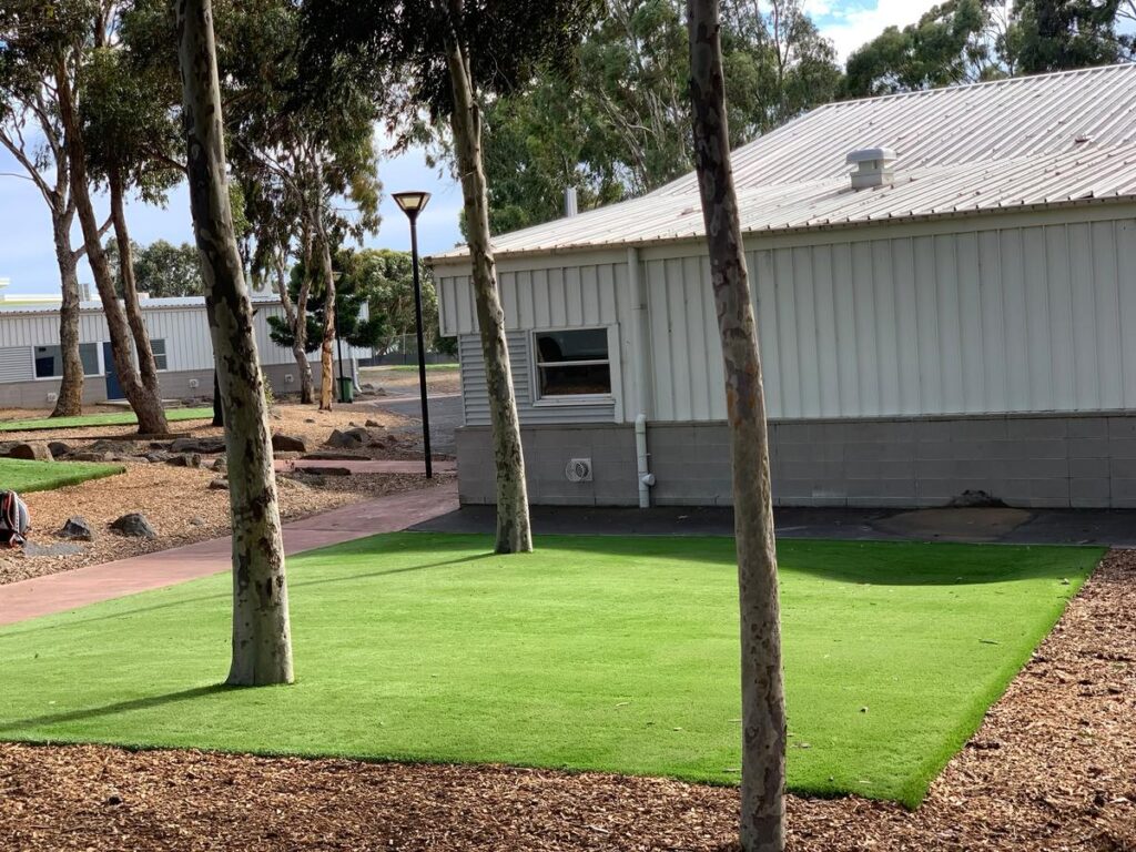 Artificial turf lawn laid under gum trees